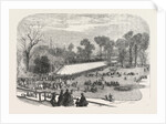Exhibition of the Horticultural Society, at Gore House, Kensington, London, 1855 by Anonymous