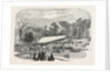 Exhibition of the Horticultural Society, at Gore House, Kensington, London, 1855 by Anonymous