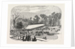 Exhibition of the Horticultural Society, at Gore House, Kensington, London, 1855 by Anonymous