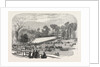 Exhibition of the Horticultural Society, at Gore House, Kensington, London, 1855 by Anonymous