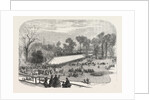 Exhibition of the Horticultural Society, at Gore House, Kensington, London, 1855 by Anonymous
