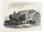 Agricultural Pictures: Thatching, 1846 by Anonymous