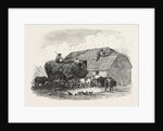 Agricultural Pictures: Thatching, 1846 by Anonymous