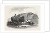 Agricultural Pictures: Thatching, 1846 by Anonymous