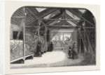 The New Reptile House in the Gardens of the Zoological Society, Regent's Park, London, 1849 by Anonymous