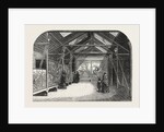 The New Reptile House in the Gardens of the Zoological Society, Regent's Park, London, 1849 by Anonymous