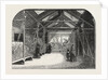 The New Reptile House in the Gardens of the Zoological Society, Regent's Park, London, 1849 by Anonymous