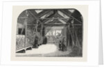 The New Reptile House in the Gardens of the Zoological Society, Regent's Park, London, 1849 by Anonymous