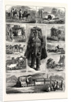 Modes of Travelling in India: Tramps, Hindu Pilgrim, Palky Dawk, Camel Caravan, a Bhylie, Riding Elephant, Travelling Beggar, Charry Dawk, an Ekha, the East Indian Railway by Anonymous