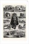 Modes of Travelling in India: Tramps, Hindu Pilgrim, Palky Dawk, Camel Caravan, a Bhylie, Riding Elephant, Travelling Beggar, Charry Dawk, an Ekha, the East Indian Railway by Anonymous