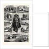 Modes of Travelling in India: Tramps, Hindu Pilgrim, Palky Dawk, Camel Caravan, a Bhylie, Riding Elephant, Travelling Beggar, Charry Dawk, an Ekha, the East Indian Railway by Anonymous