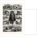 Modes of Travelling in India: Tramps, Hindu Pilgrim, Palky Dawk, Camel Caravan, a Bhylie, Riding Elephant, Travelling Beggar, Charry Dawk, an Ekha, the East Indian Railway by Anonymous