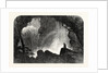 Scene from Manfred, at Drury Lane Theatre: The Steinbach Waterfall. Haunt of the Witch of the Alps, 1863 by Anonymous