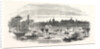 The Inundation of Christchurch Meadows, Oxford, UK, 1852 by Anonymous