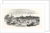 The Inundation of Christchurch Meadows, Oxford, UK, 1852 by Anonymous
