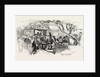 The Tavern, Paris, 1859 by Anonymous