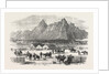 Sketches in British Columbia: Scene at the Fountain Near Parsonville, Fraser River, 1864 by Anonymous
