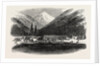 Sketches from British Columbia: Indian Village, Douglas Lake, 1864 by Anonymous