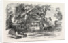 Pleasure Vans. School Children's Hampton-Court Holiday, 1849 by Anonymous