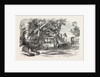 Pleasure Vans. School Children's Hampton-Court Holiday, 1849 by Anonymous