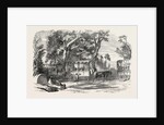 Pleasure Vans. School Children's Hampton-Court Holiday, 1849 by Anonymous