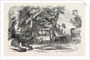 Pleasure Vans. School Children's Hampton-Court Holiday, 1849 by Anonymous