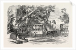 Pleasure Vans. School Children's Hampton-Court Holiday, 1849 by Anonymous