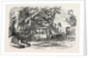Pleasure Vans. School Children's Hampton-Court Holiday, 1849 by Anonymous