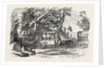 Pleasure Vans. School Children's Hampton-Court Holiday, 1849 by Anonymous