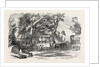Pleasure Vans. School Children's Hampton-Court Holiday, 1849 by Anonymous
