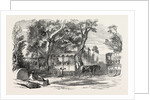 Pleasure Vans. School Children's Hampton-Court Holiday, 1849 by Anonymous