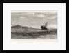 Wreck of the Royal Mail Steamship Paramatta on the Horseshoe Reef, Near Anagado, One of the West India Islands, 1859 by Anonymous