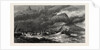 Hurricane at the Isle of Mauritius, 1874 by Anonymous