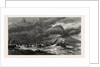 Hurricane at the Isle of Mauritius, 1874 by Anonymous