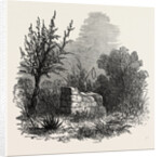 Tomb of Virginia, Mauritius, 1874 by Anonymous