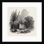 Tomb of Virginia, Mauritius, 1874 by Anonymous