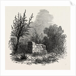 Tomb of Virginia, Mauritius, 1874 by Anonymous