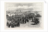 Opening Victoria Bridge, Queensland, 1874 by Anonymous