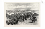 Opening Victoria Bridge, Queensland, 1874 by Anonymous