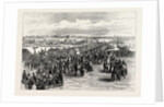Opening Victoria Bridge, Queensland, 1874 by Anonymous