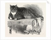 Large Cat, 1850 by Anonymous