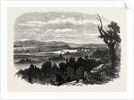 Cook's River Dam, Botany Bay, New South Wales, 1865 by Anonymous