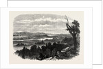 Cook's River Dam, Botany Bay, New South Wales, 1865 by Anonymous