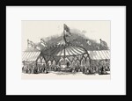 The Northumberland and Newcastle Horticultural Society's Flower-Show. Rotunda of the Tent. UK, 1846 by Anonymous