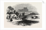 Scene in Kaffirland, May 1, 1846 by Anonymous