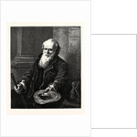 A Mendicant, 1873 by Anonymous