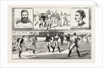 La Crosse Match, Played Last Saturday at Kennington Oval, by North of England against South, 1883 by Anonymous