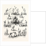 The Canadian Game of La Crosse by Anonymous