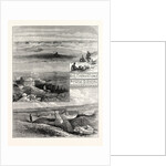 A Burried City of the Exodus by Anonymous