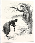 Two Methods of Speeling a Wire-Fence by Anonymous